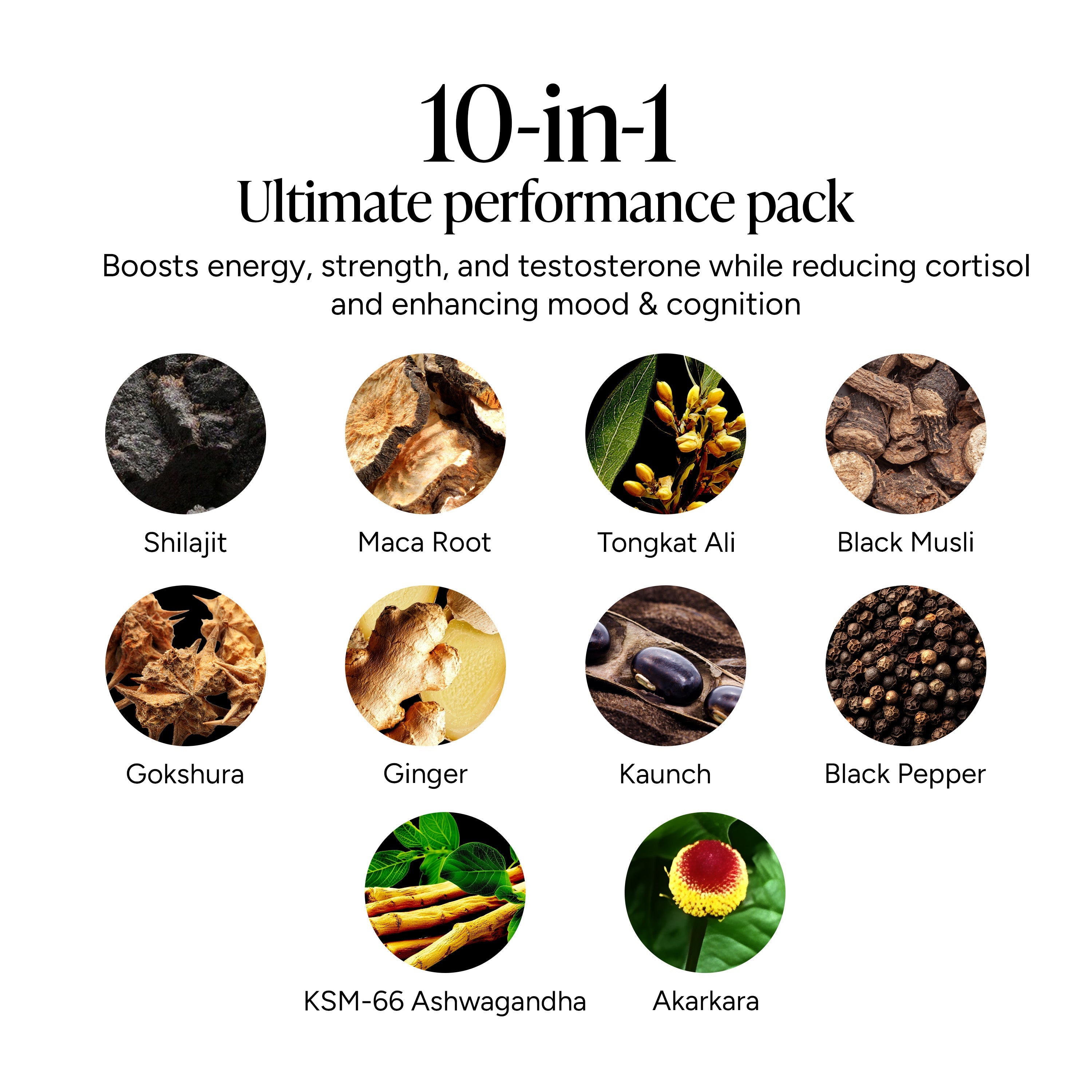 Alpha Shilajit Gummies